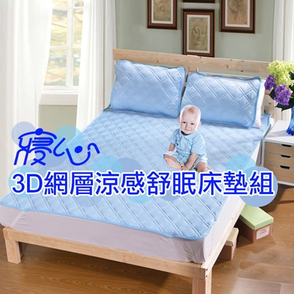 外銷日本 3D網層涼感舒眠床墊組  枕墊X2
