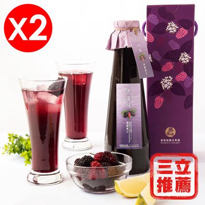 【草地狀元】桑葚濃縮果汁600mlX2