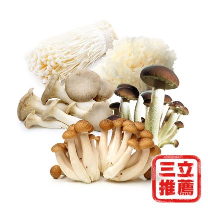 【隆谷養菇場】有機鮮採综合菇組-3KG