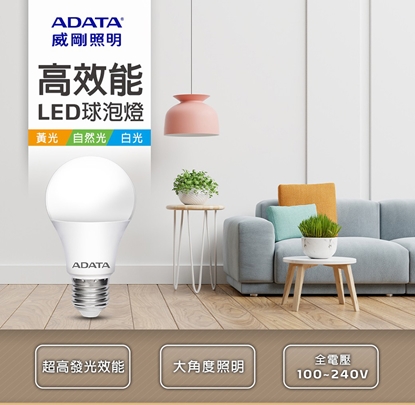 ADATA 威剛 13W LED 高效能燈泡-10入