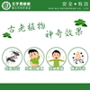 圖片 【左手香爺爺】左手香精油萬靈膏10ml*3入/組
