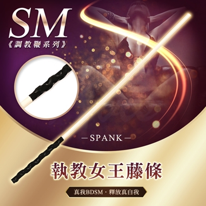 執教女王藤條 SM調教鞭 BDSM