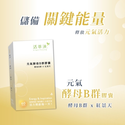 活萃泱-元氣酵母B群膠囊 (60粒/盒)