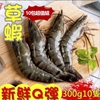圖片 【八兩排】優選速凍大草蝦 - 8盒(10隻/盒)